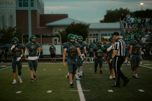 What are essential pet care tips for UK winters?