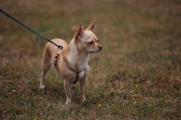 How Can Technology Impact the Future of the UK Economy?